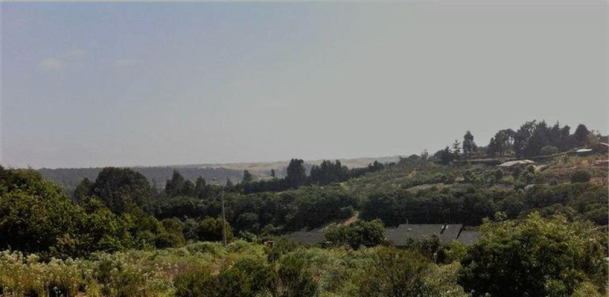 Picture of Residential Land For Sale in Region De Valparaiso, Valparaiso, Chile