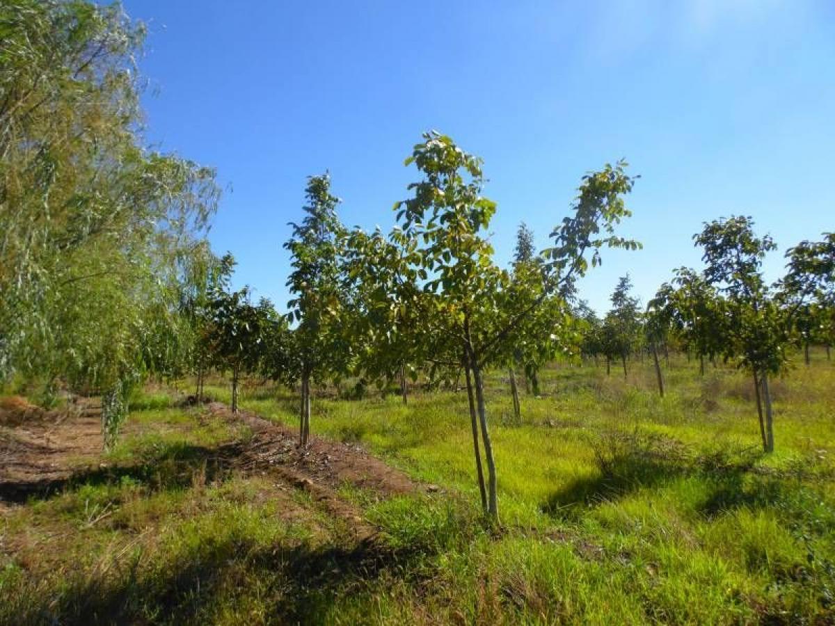 Picture of Residential Land For Sale in Region Del Maule, Maule, Chile