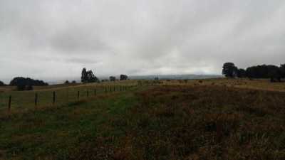 Condo For Sale in Region De Los Lagos, Chile