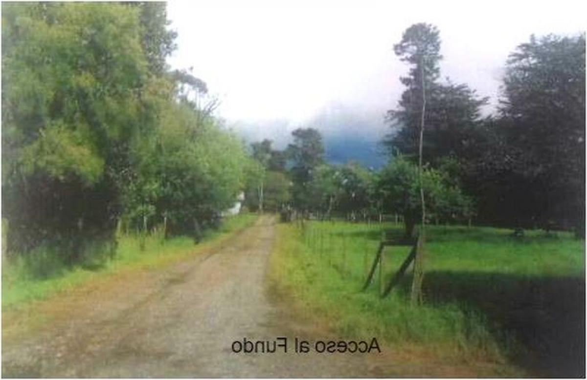 Picture of Home For Sale in Region De Los Lagos, Los Lagos, Chile