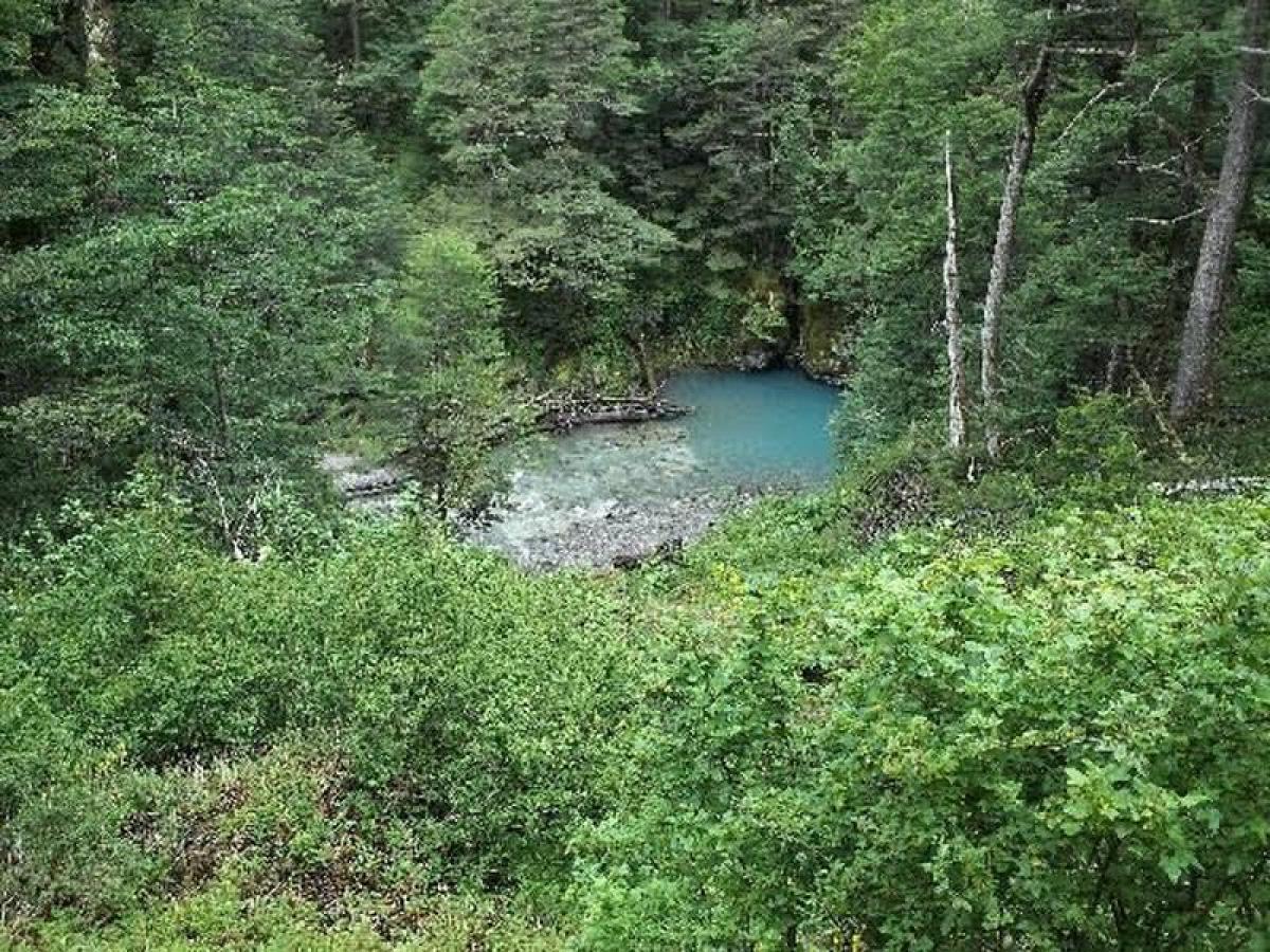 Picture of Residential Land For Sale in Region De Aysen, Aisen, Chile