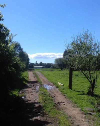 Condo For Sale in Region De Los Lagos, Chile