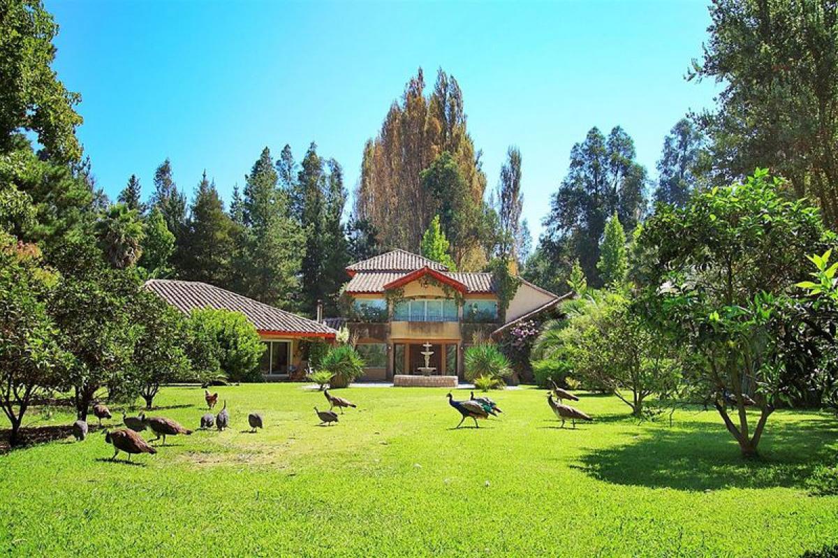 Picture of Residential Land For Sale in Region De O'Higgins, O'Higgins, Chile
