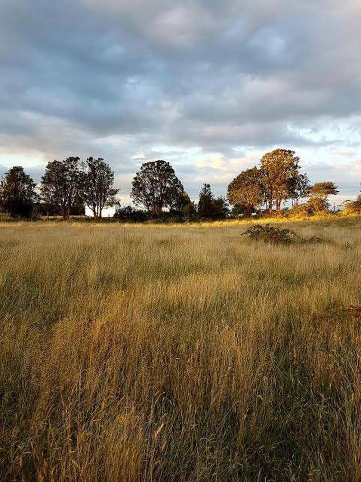 Picture of Residential Land For Sale in Region De Los Lagos, Los Lagos, Chile