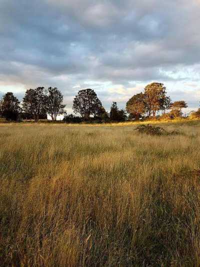 Residential Land For Sale in Region De Los Lagos, Chile