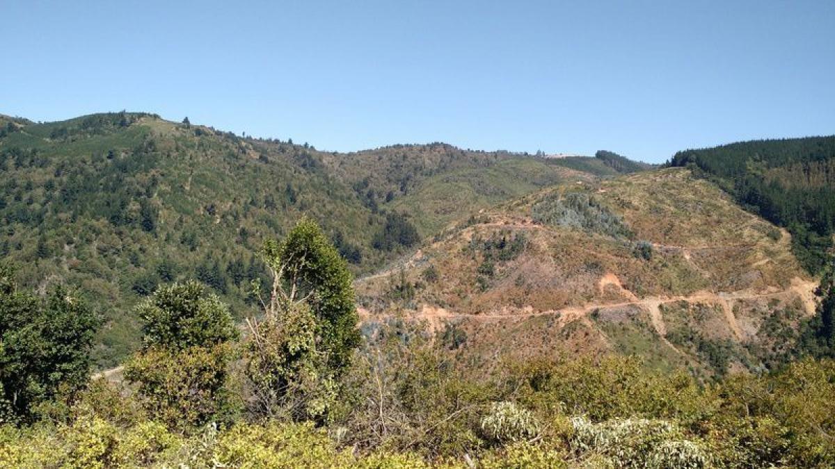 Picture of Residential Land For Sale in Region Del Bio Bio, Bio Bio, Chile