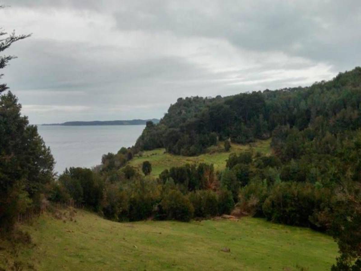 Picture of Condo For Sale in Region De Los Lagos, Los Lagos, Chile