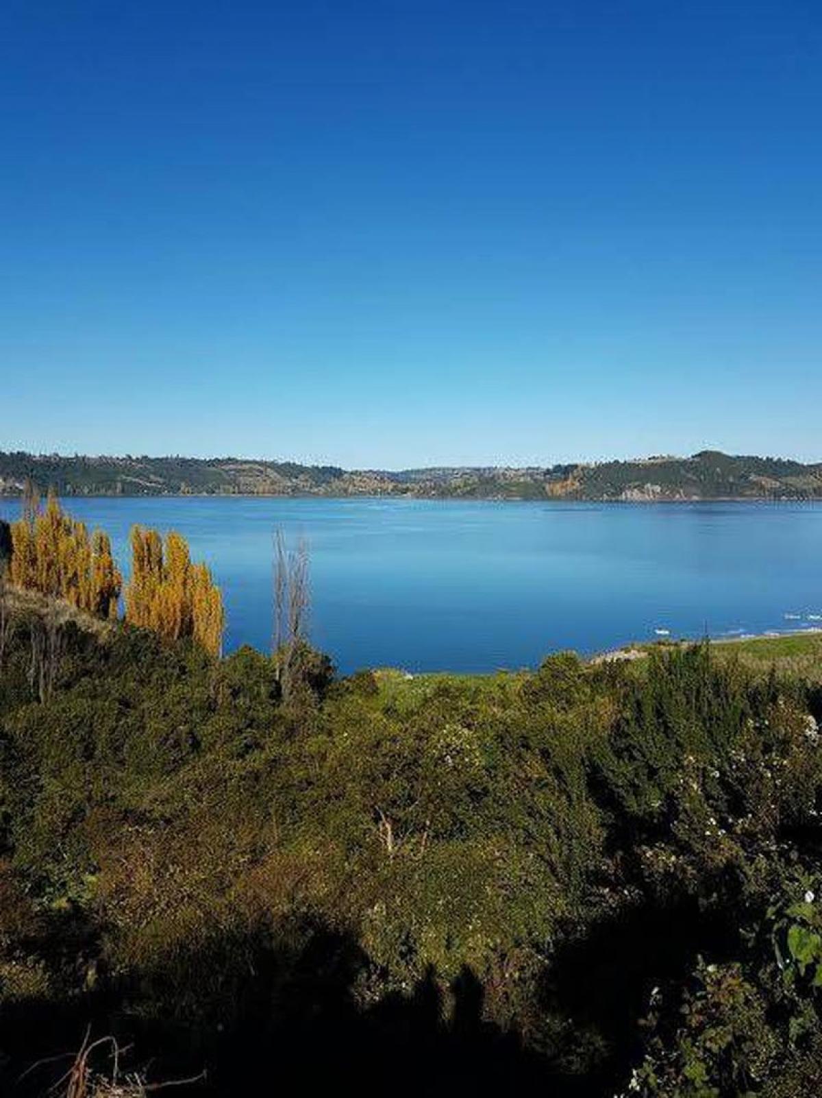 Picture of Condo For Sale in Region De Los Lagos, Los Lagos, Chile