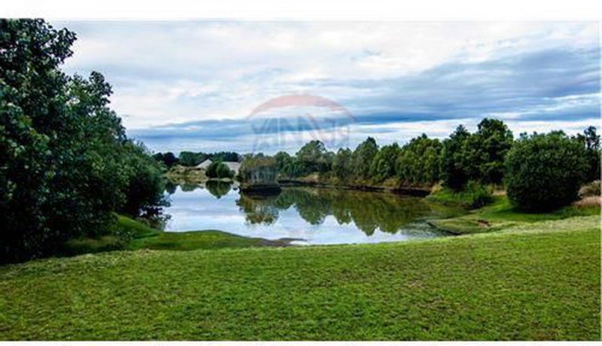 Picture of Residential Land For Sale in Region De Los Rios, Los Rios, Chile