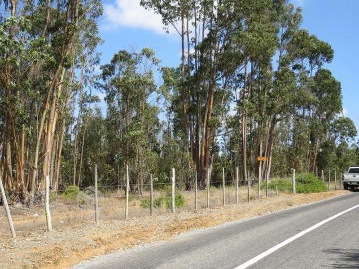 Picture of Residential Land For Sale in Region De Valparaiso, Valparaiso, Chile