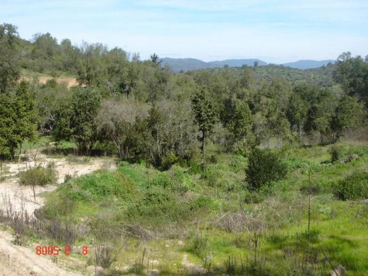 Picture of Residential Land For Sale in Region De Valparaiso, Valparaiso, Chile