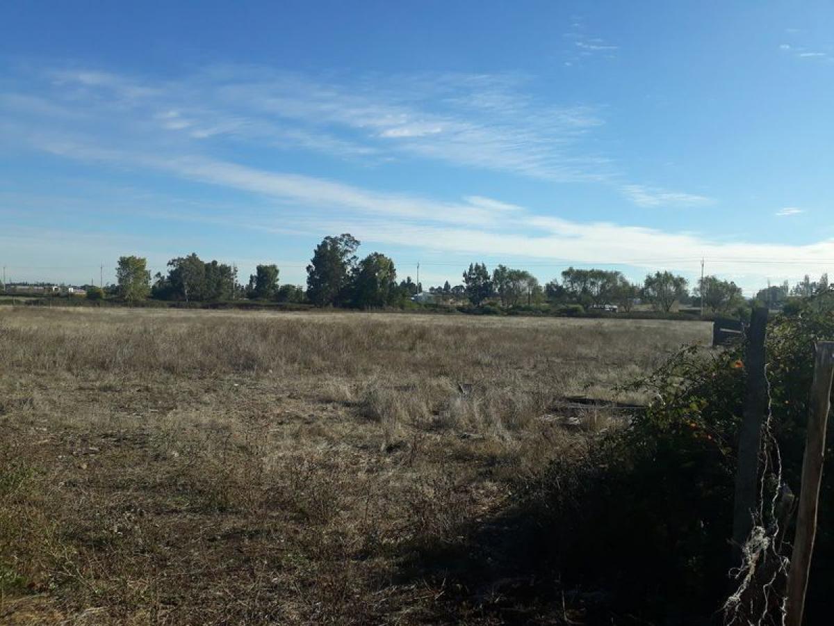 Picture of Residential Land For Sale in Region Del Bio Bio, Bio Bio, Chile