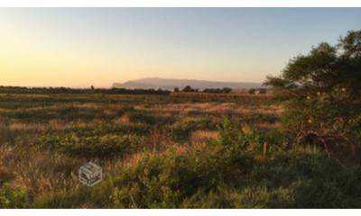 Condo For Sale in Region De Arica, Chile