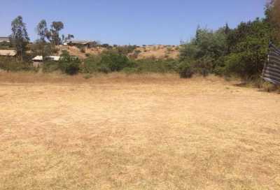 Other Commercial For Sale in Region De Valparaiso, Chile