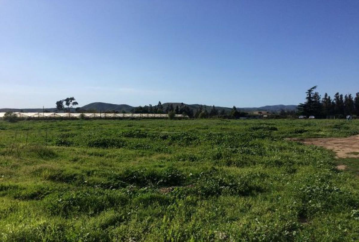 Picture of Other Commercial For Sale in Region De Valparaiso, Valparaiso, Chile