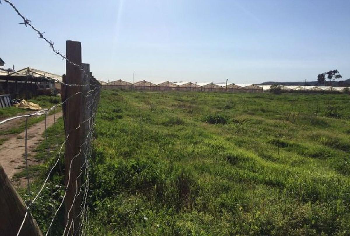 Picture of Other Commercial For Sale in Region De Valparaiso, Valparaiso, Chile