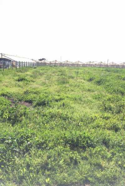 Other Commercial For Sale in Region De Valparaiso, Chile