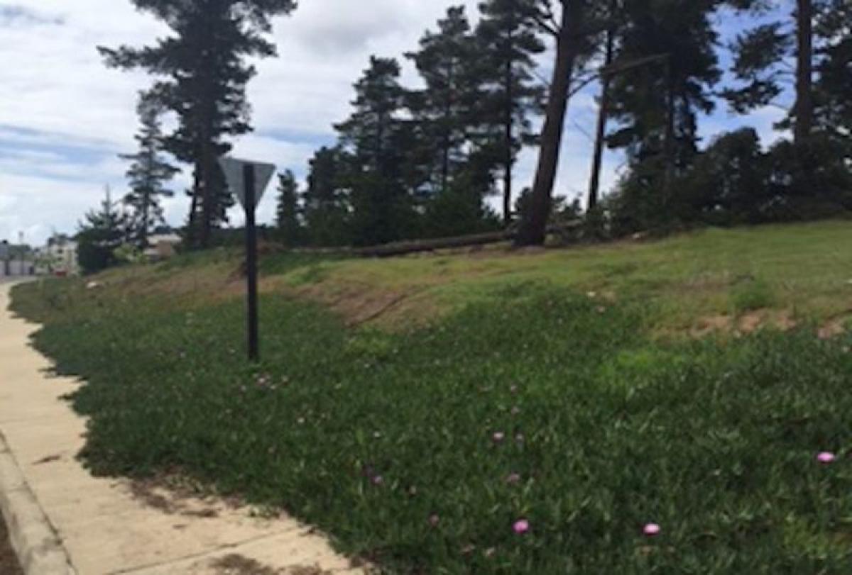 Picture of Other Commercial For Sale in Region De Valparaiso, Valparaiso, Chile