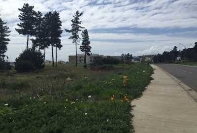 Other Commercial For Sale in Region De Valparaiso, Chile
