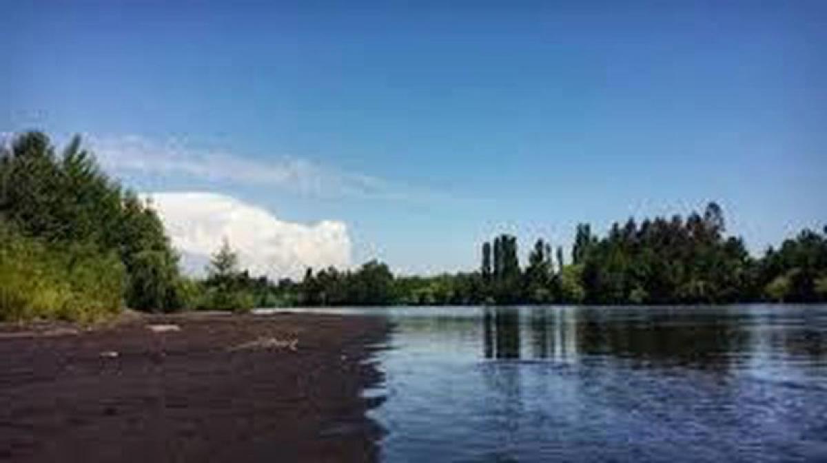 Picture of Other Commercial For Sale in Region Del Bio Bio, Bio Bio, Chile