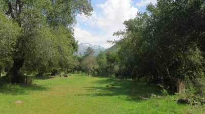 Other Commercial For Sale in Region Del Maule, Chile