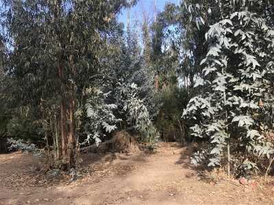 Residential Land For Sale in Region De Valparaiso, Chile