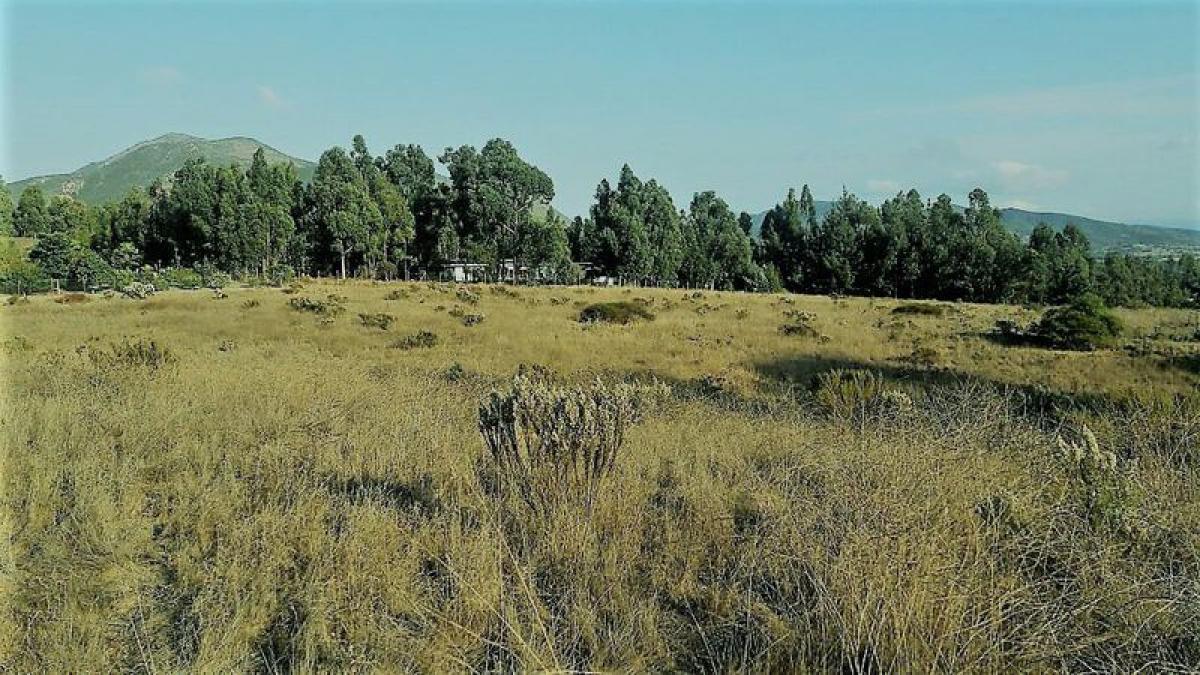 Picture of Residential Land For Sale in Region De Valparaiso, Valparaiso, Chile