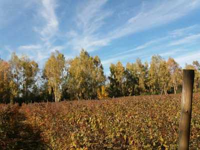 Condo For Sale in Region Del Maule, Chile