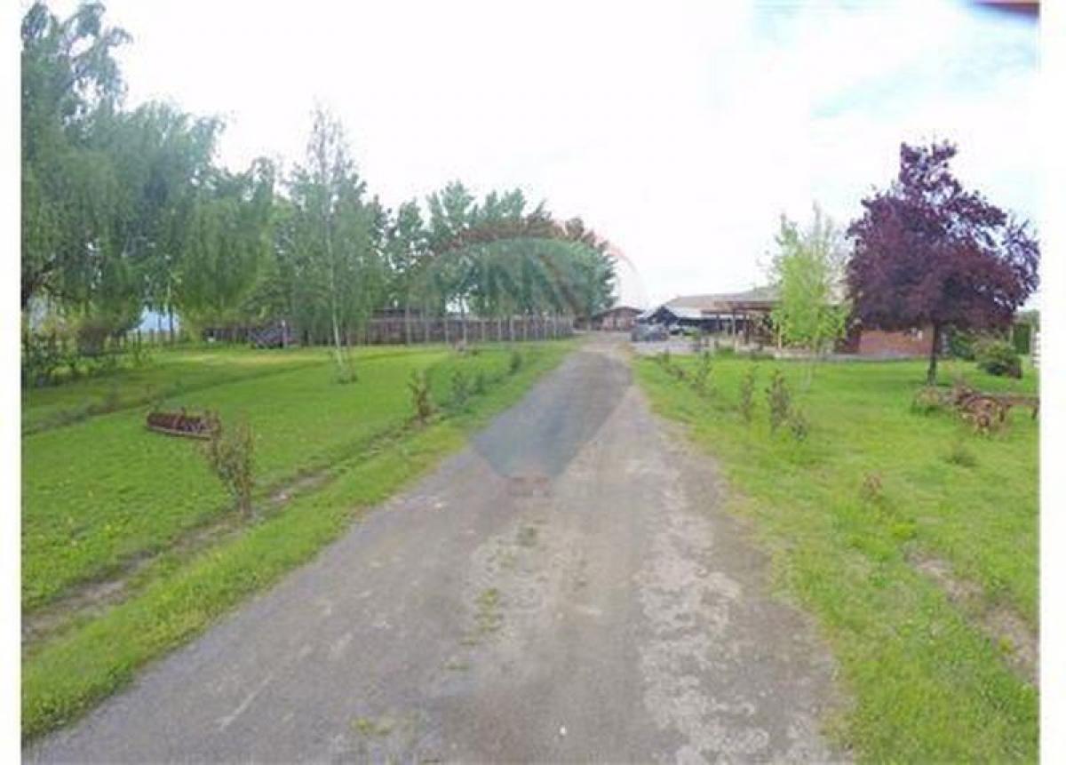 Picture of Home For Sale in Region De O'Higgins, O'Higgins, Chile