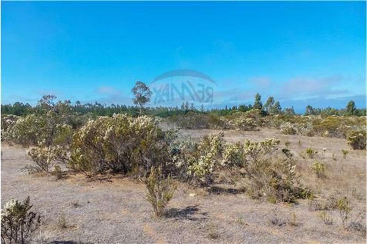 Picture of Other Commercial For Sale in Region De Valparaiso, Valparaiso, Chile