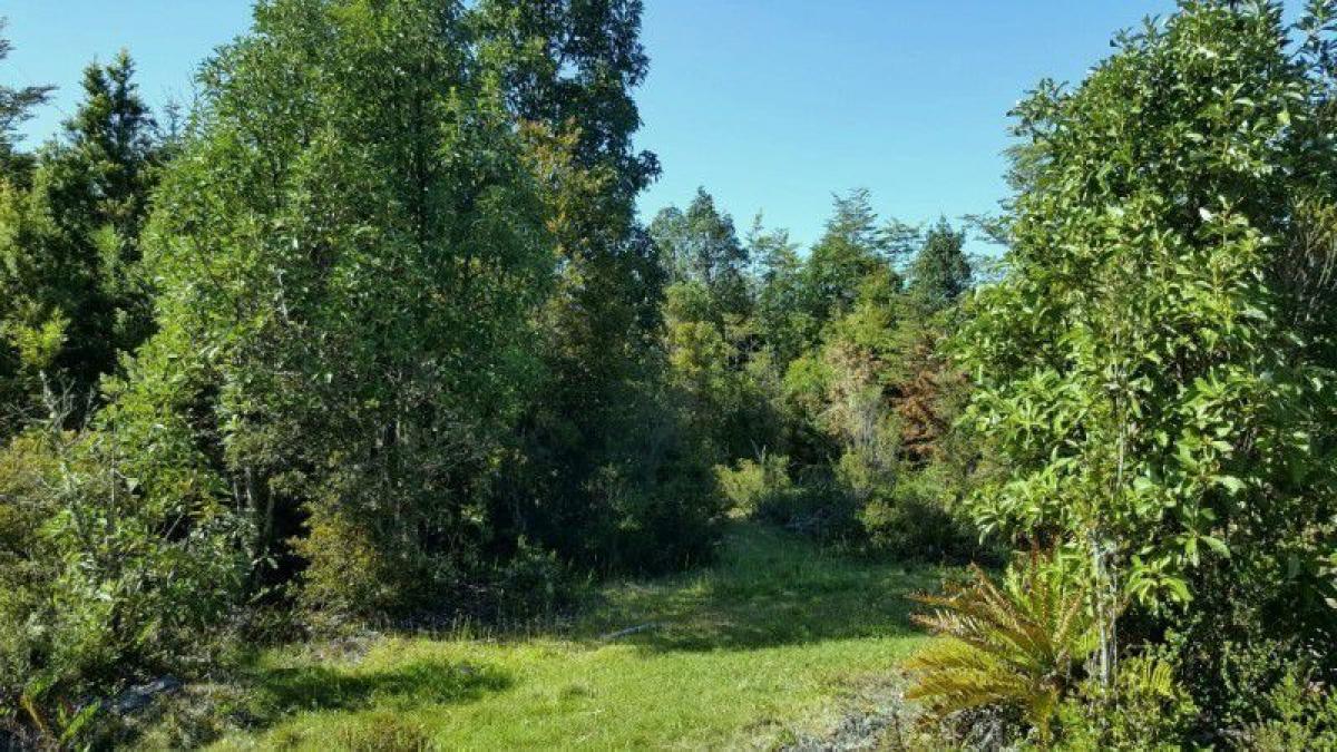 Picture of Residential Land For Sale in Region De Los Rios, Los Rios, Chile