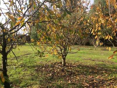 Home For Sale in Region Metropolitana, Chile