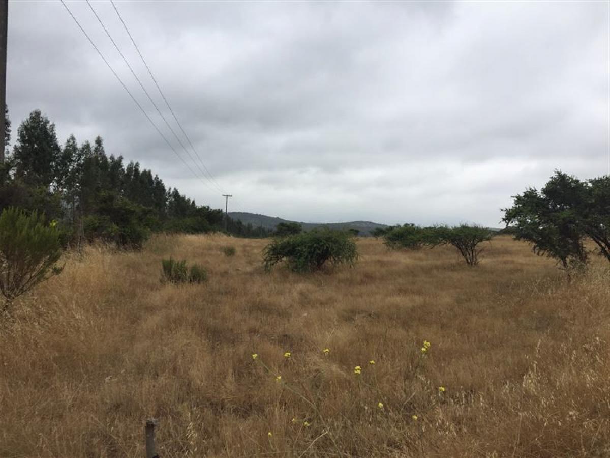 Picture of Residential Land For Sale in Region De Valparaiso, Valparaiso, Chile