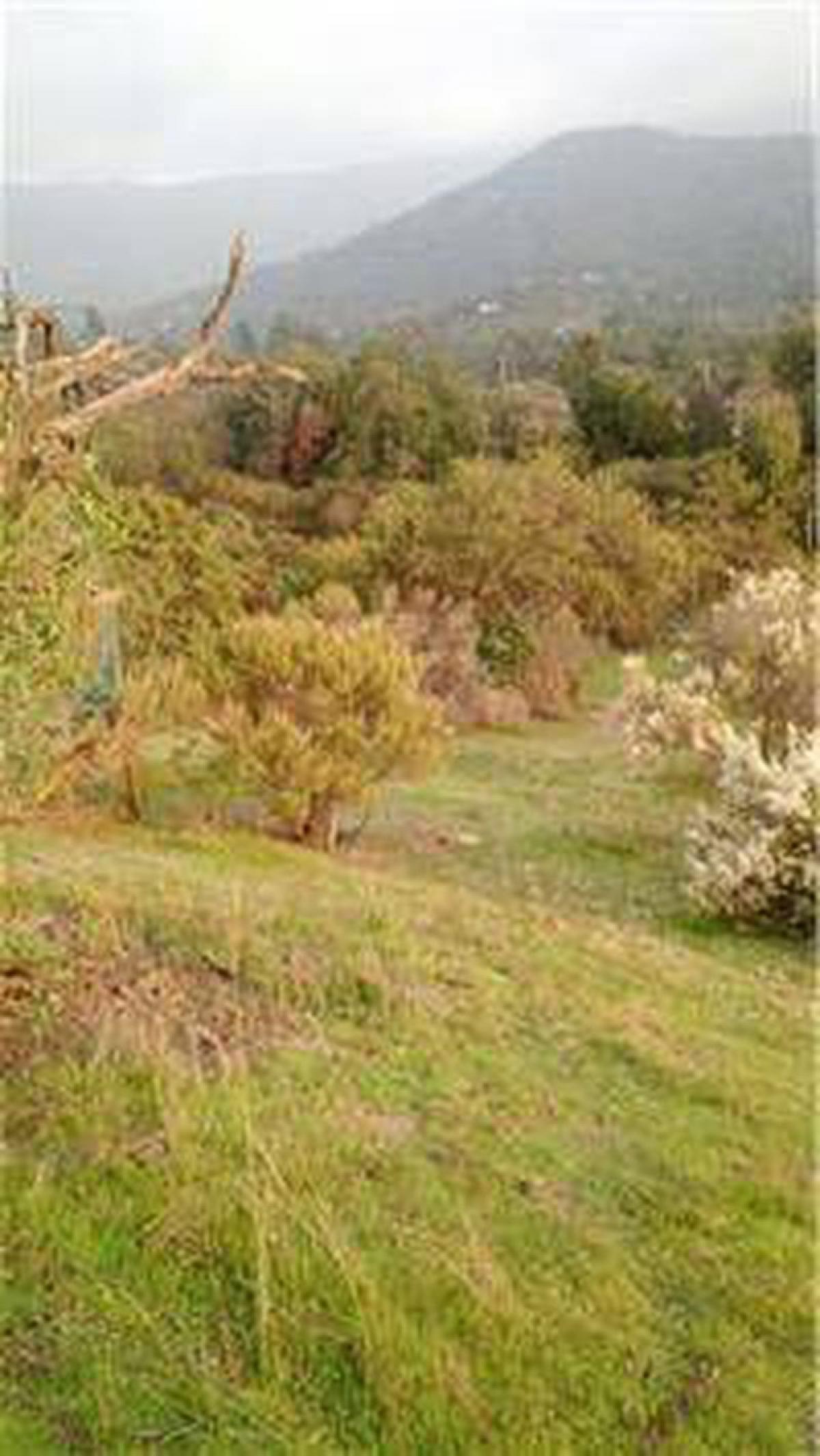 Picture of Residential Land For Sale in Region De Valparaiso, Valparaiso, Chile