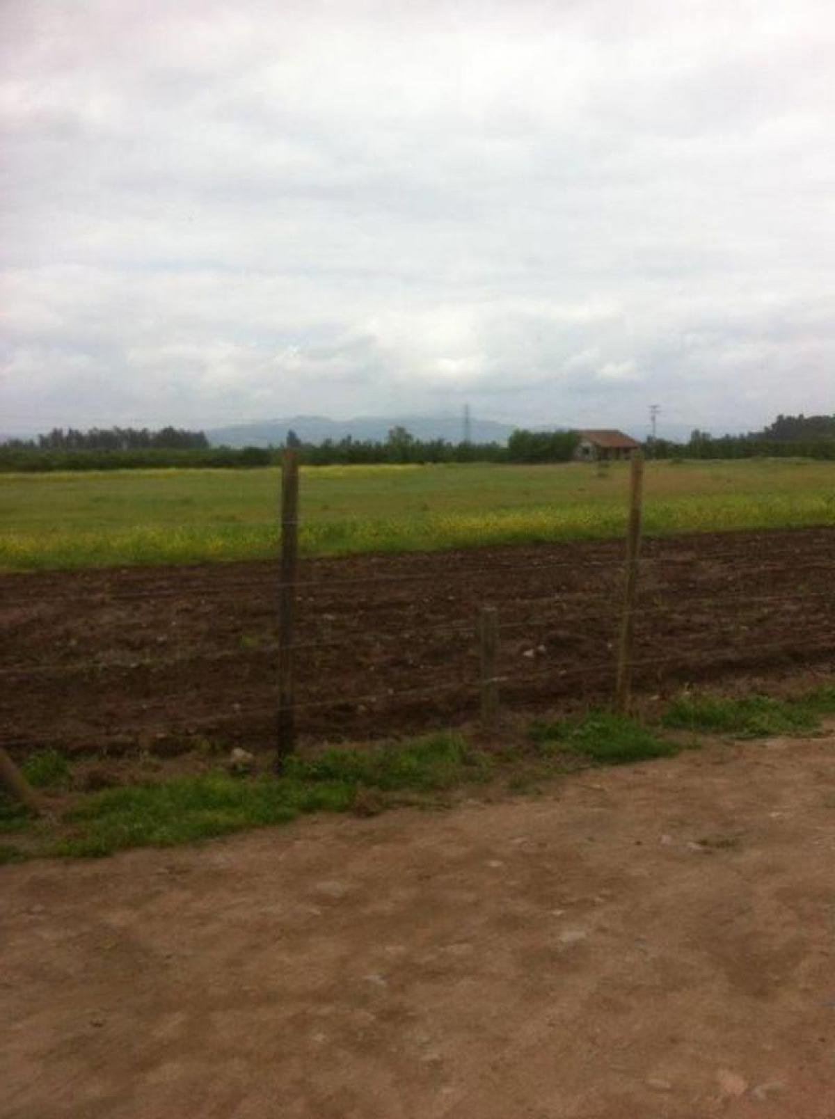 Picture of Residential Land For Sale in Region Del Maule, Maule, Chile