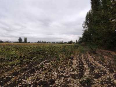 Condo For Sale in Region De O'Higgins, Chile