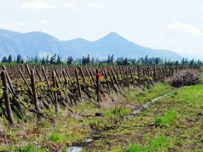 Condo For Sale in Region De O'Higgins, Chile