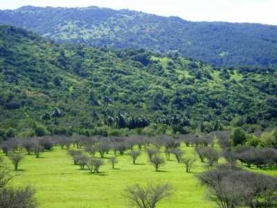 Condo For Sale in Region De O'Higgins, Chile