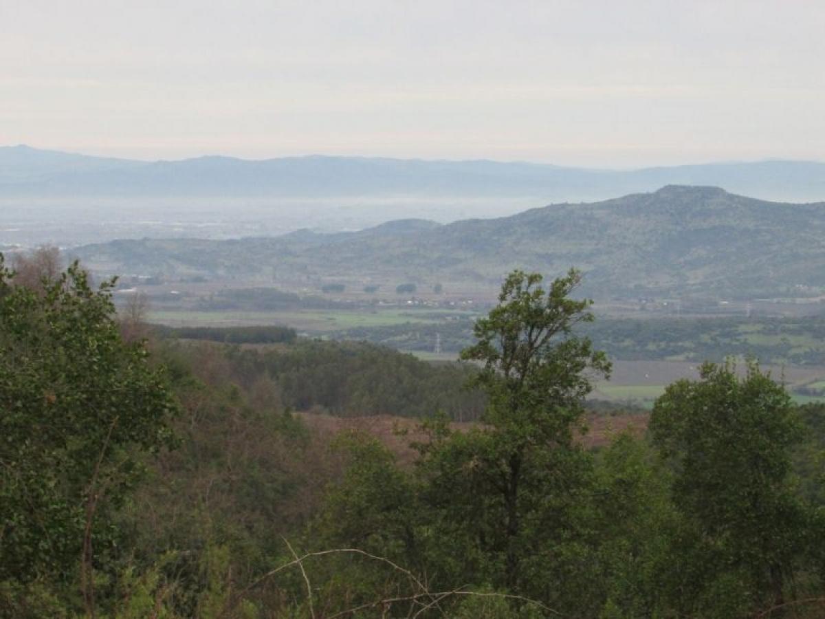 Picture of Condo For Sale in Region Del Maule, Maule, Chile