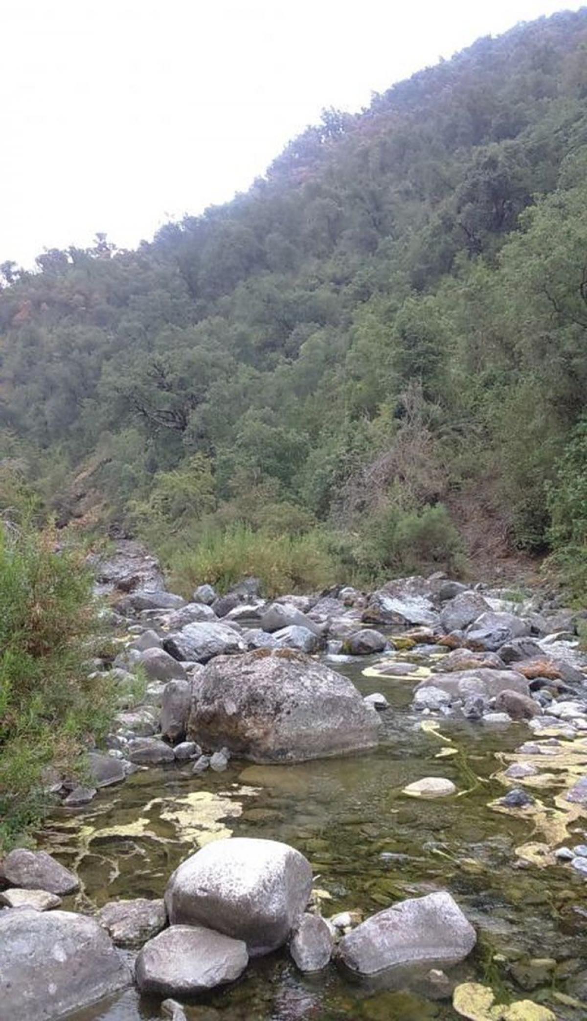 Picture of Condo For Sale in Region Del Maule, Maule, Chile