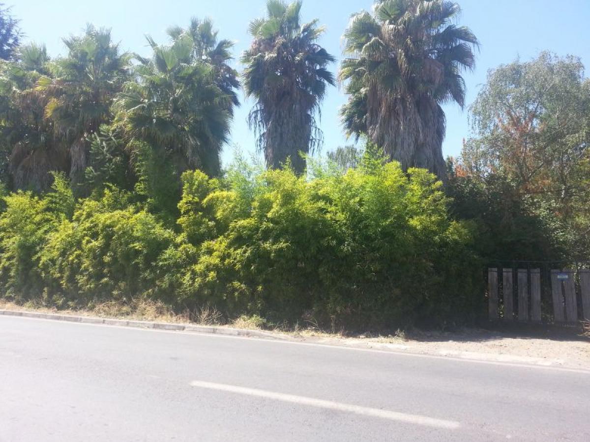 Picture of Condo For Sale in Region Del Maule, Maule, Chile