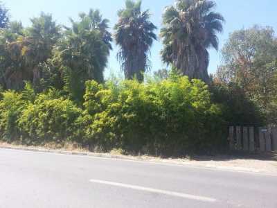 Condo For Sale in Region Del Maule, Chile