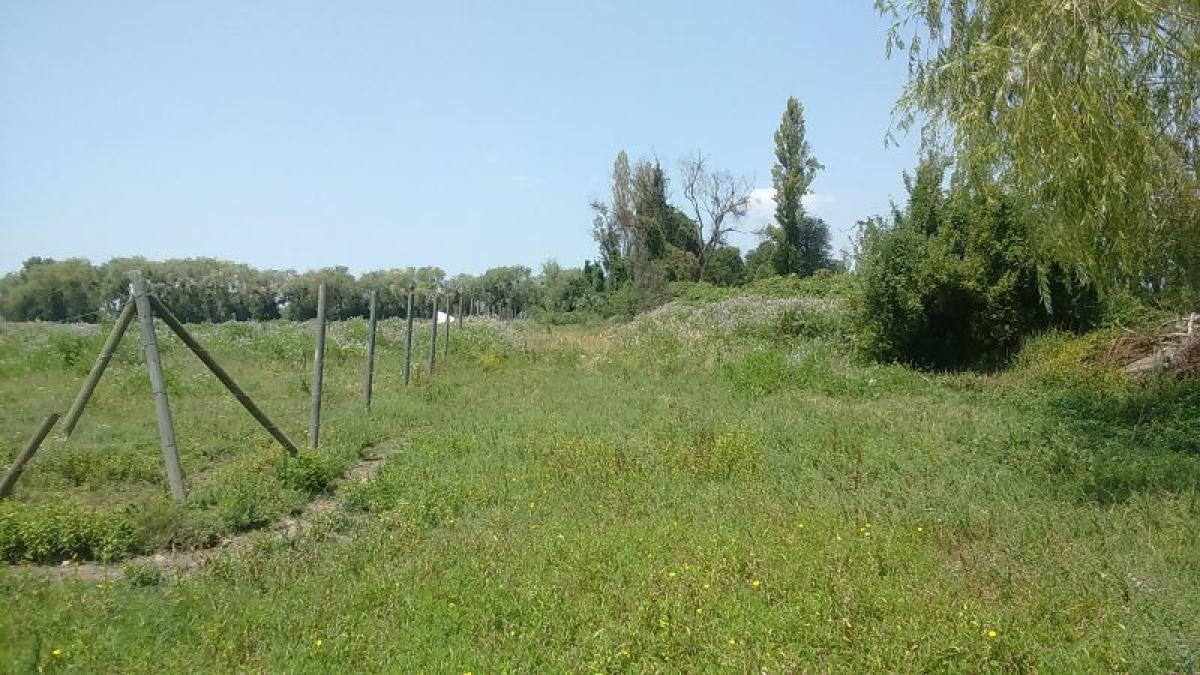 Picture of Condo For Sale in Region Del Maule, Maule, Chile