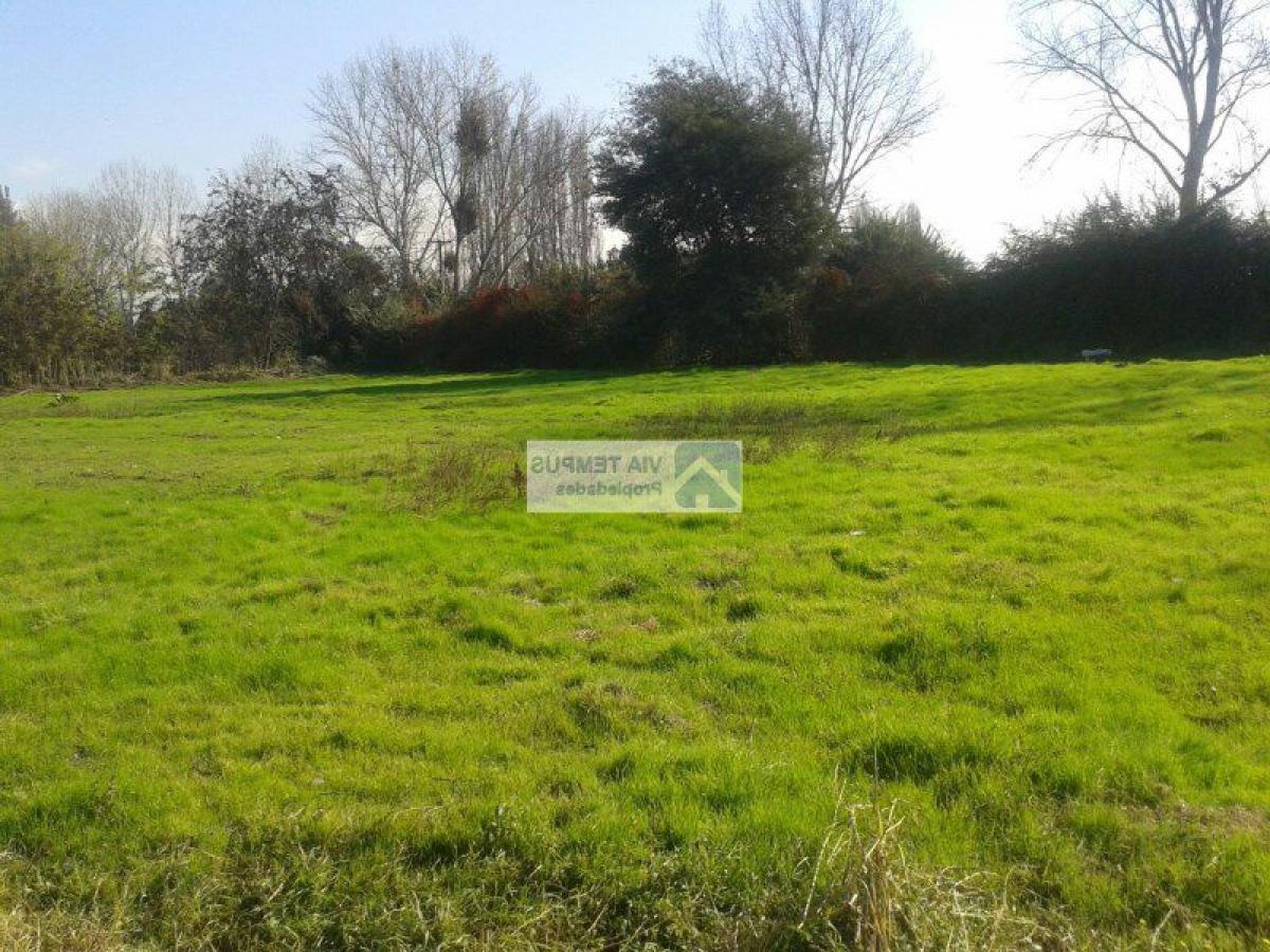 Picture of Residential Land For Sale in Talagante, Region Metropolitana
, Chile