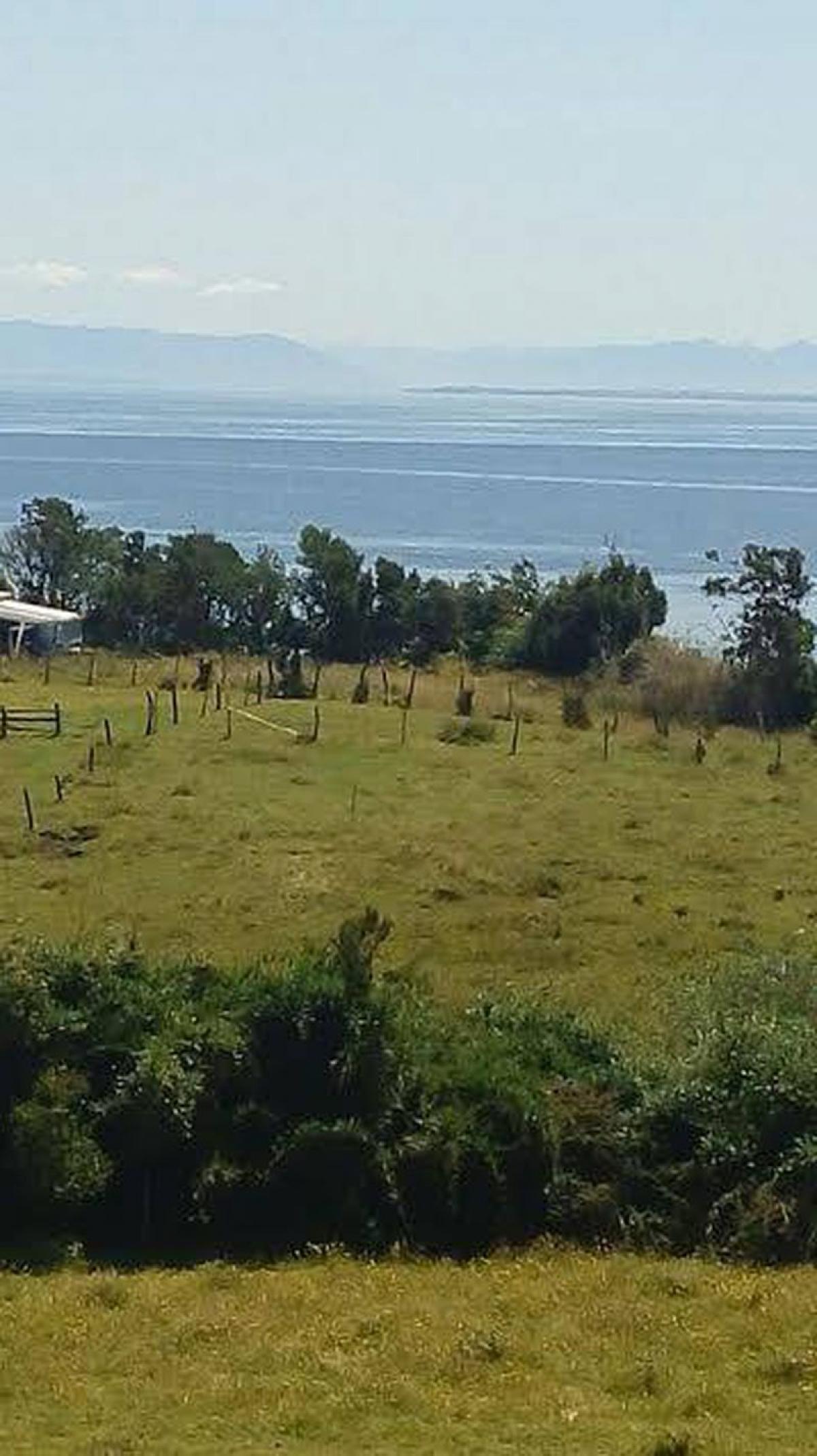 Picture of Condo For Sale in Region De Los Lagos, Los Lagos, Chile