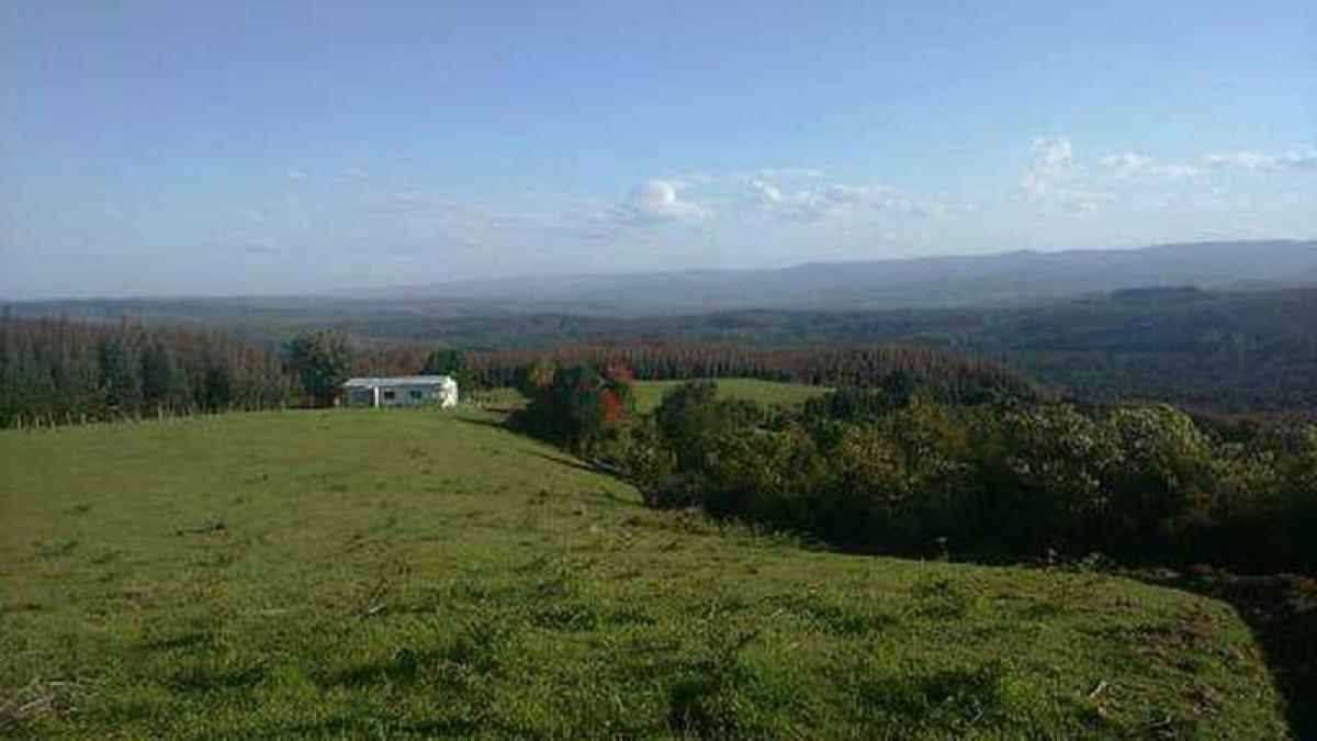 Picture of Condo For Sale in Region De Los Lagos, Los Lagos, Chile