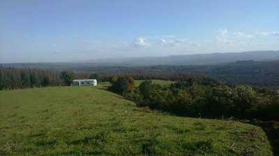 Condo For Sale in Region De Los Lagos, Chile