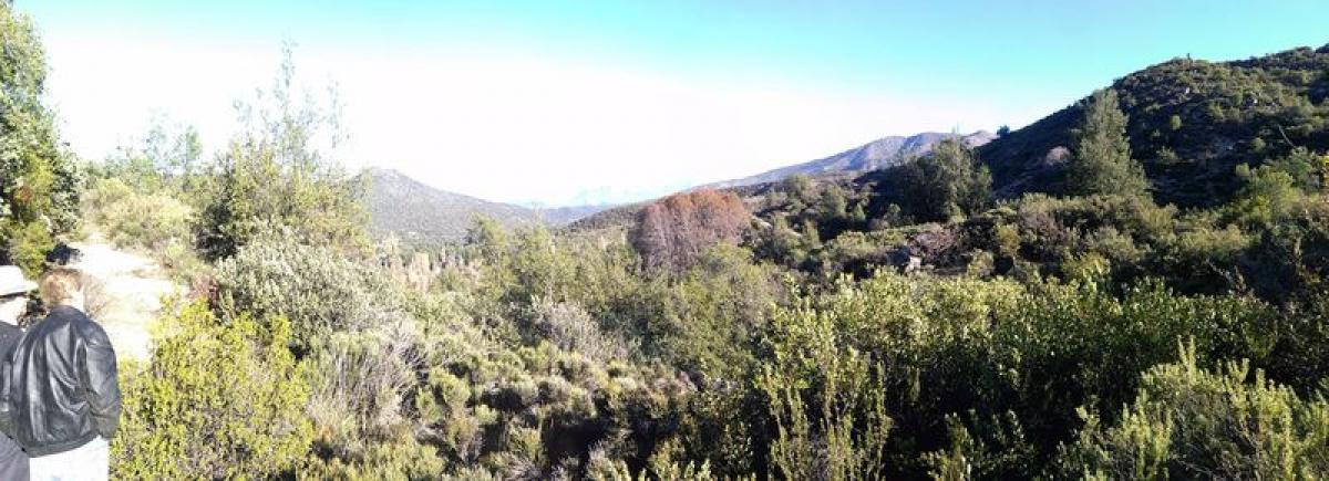 Picture of Residential Land For Sale in Chacabuco, Region Metropolitana
, Chile