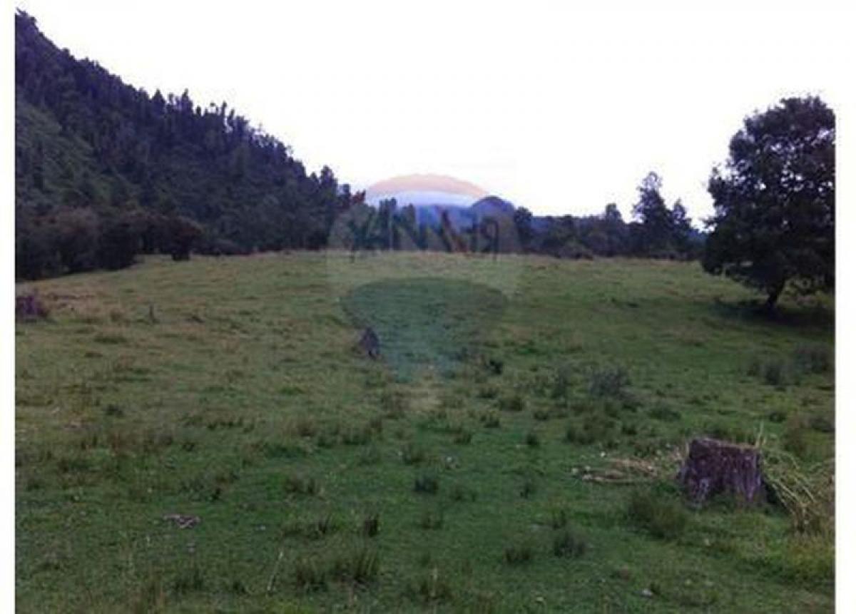 Picture of Residential Land For Sale in Region De Los Rios, Los Rios, Chile