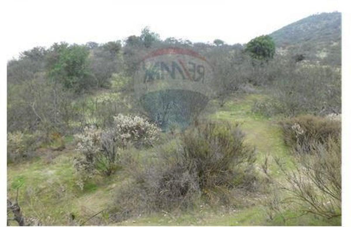 Picture of Residential Land For Sale in Melipilla, Region Metropolitana
, Chile